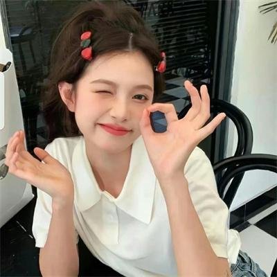 南拳蔡李佛国语